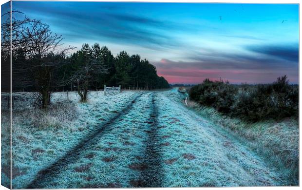 Early morning frost in Norfolk Canvas Print by Gary Pearson