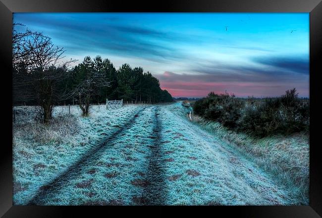 Early morning frost in Norfolk Framed Print by Gary Pearson