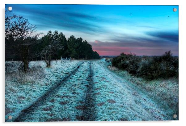 Early morning frost in Norfolk Acrylic by Gary Pearson