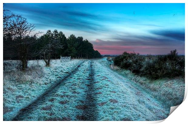 Early morning frost in Norfolk Print by Gary Pearson