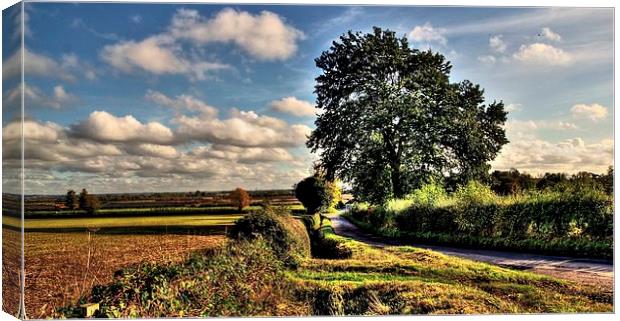 DOWN A COUNTRY LANE Canvas Print by len milner