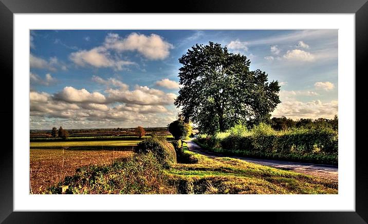 DOWN A COUNTRY LANE Framed Mounted Print by len milner