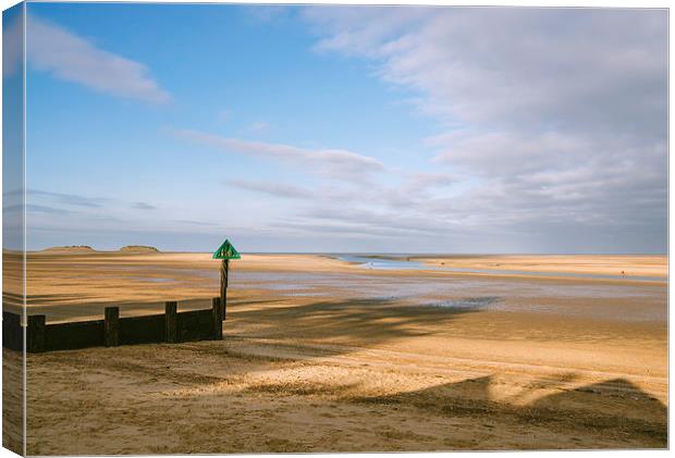 Green groyne marker and sunlit beach under a heavy Canvas Print by Liam Grant