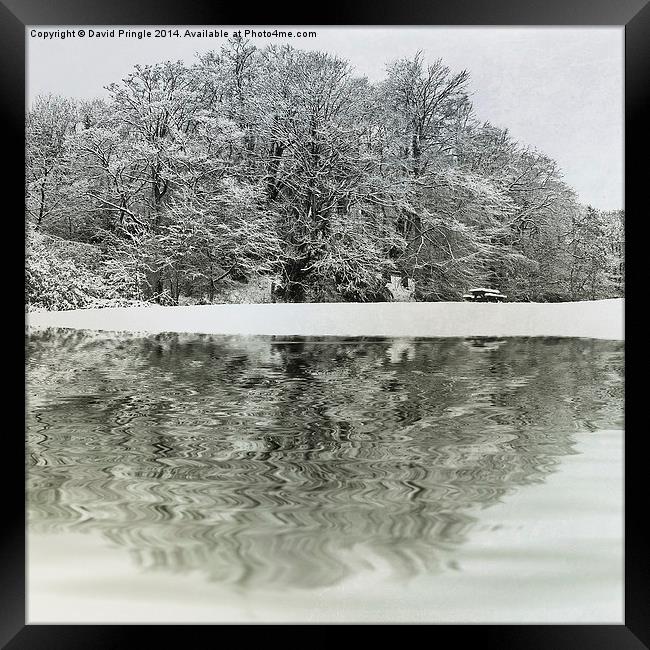 Winter Reflection Framed Print by David Pringle