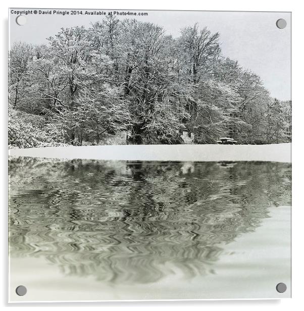 Winter Reflection Acrylic by David Pringle