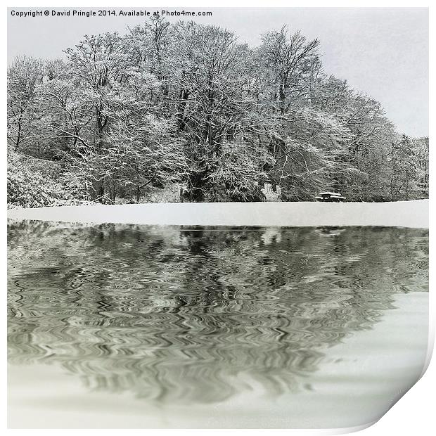 Winter Reflection Print by David Pringle