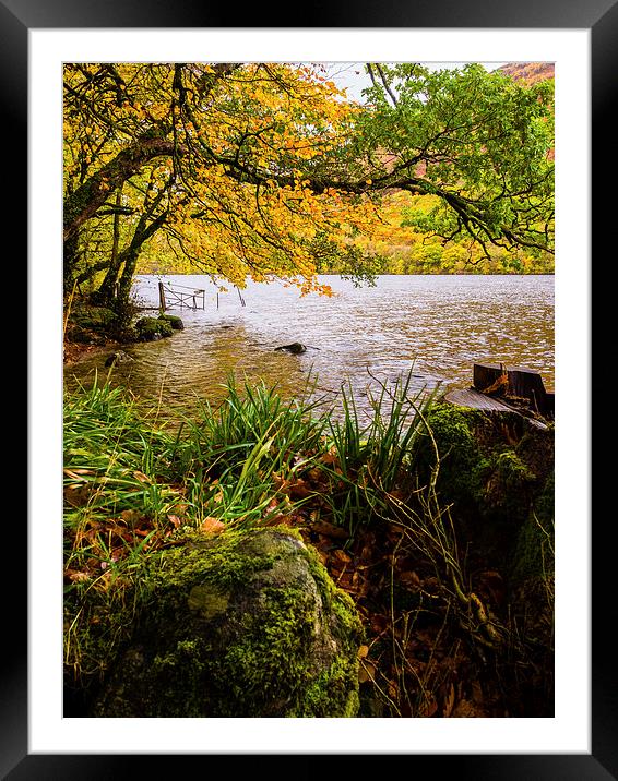 Loch Laggan, Scotland, UK Framed Mounted Print by Mark Llewellyn