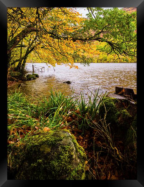 Loch Laggan, Scotland, UK Framed Print by Mark Llewellyn