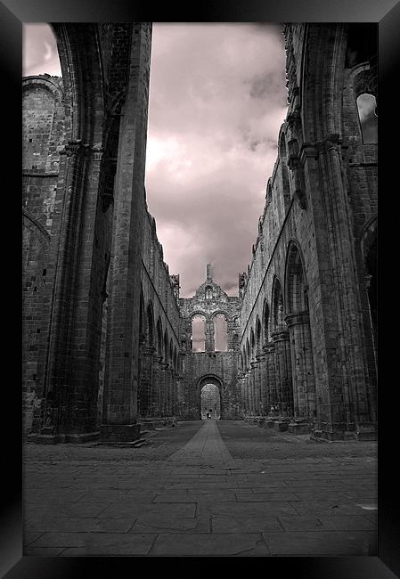 The Gate Path Framed Print by Darren Smith