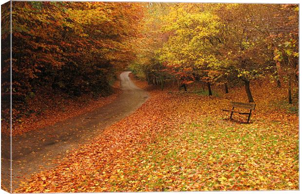 Puddletown Autumn Canvas Print by Colin Tracy