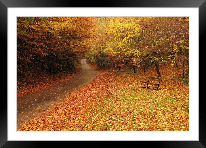 Puddletown Autumn Framed Mounted Print by Colin Tracy