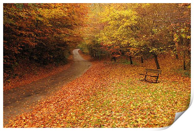 Puddletown Autumn Print by Colin Tracy