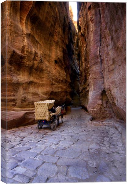 JST2961 The natural gorge Canvas Print by Jim Tampin