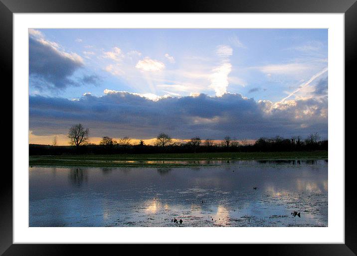 Floodwater Bockhampton, Dorset Framed Mounted Print by Colin Tracy