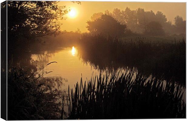 River Frome Dawn Canvas Print by Colin Tracy