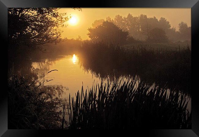 River Frome Dawn Framed Print by Colin Tracy