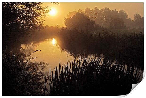 River Frome Dawn Print by Colin Tracy