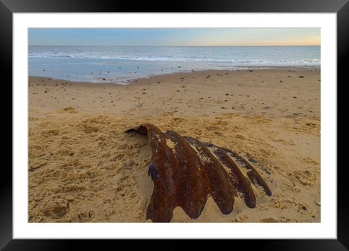 Hemsby Beach Scrap Metal Framed Mounted Print by James Taylor