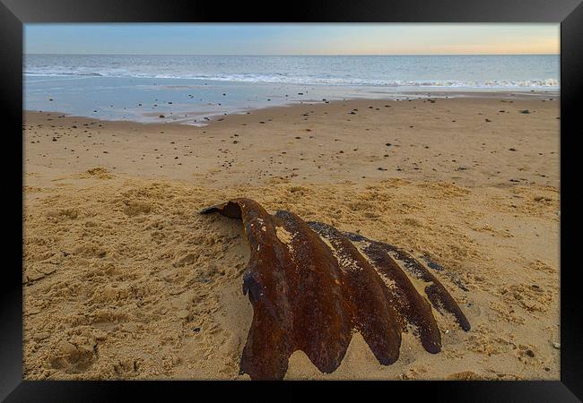 Hemsby Beach Scrap Metal Framed Print by James Taylor