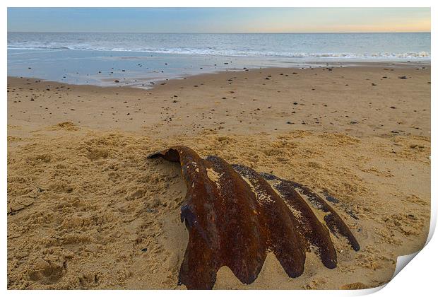 Hemsby Beach Scrap Metal Print by James Taylor