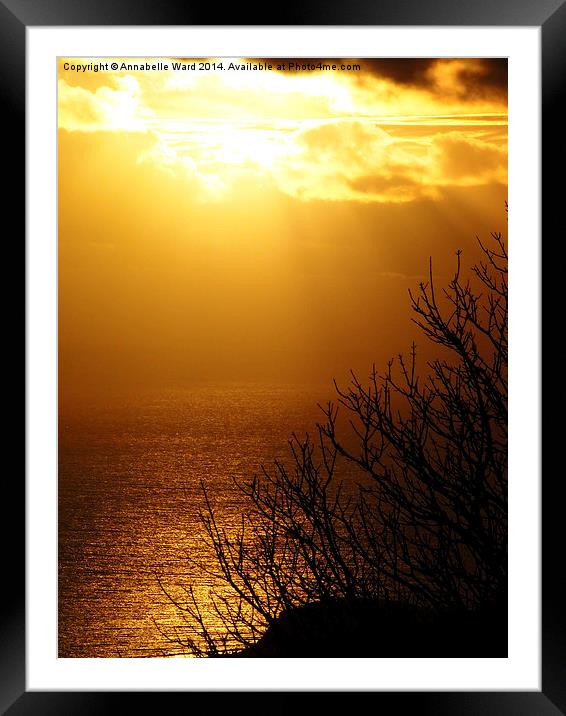 Golden Sunset Framed Mounted Print by Annabelle Ward