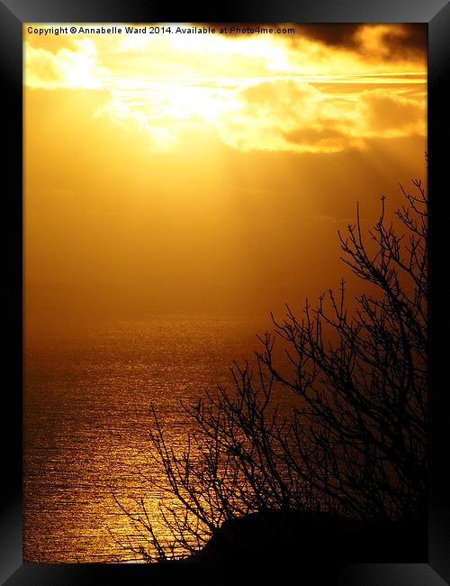 Golden Sunset Framed Print by Annabelle Ward