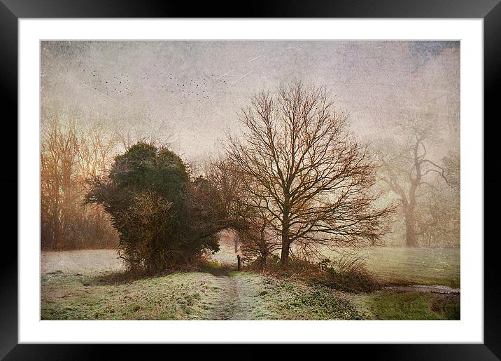 The Secret Pathway Framed Mounted Print by Dawn Cox