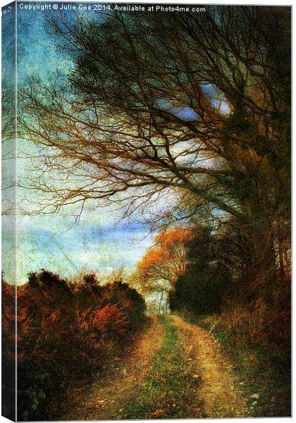 A Colourful Walk. Canvas Print by Julie Coe