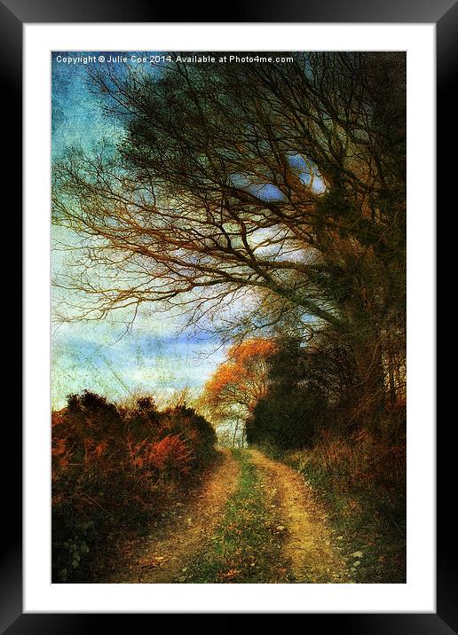 A Colourful Walk. Framed Mounted Print by Julie Coe