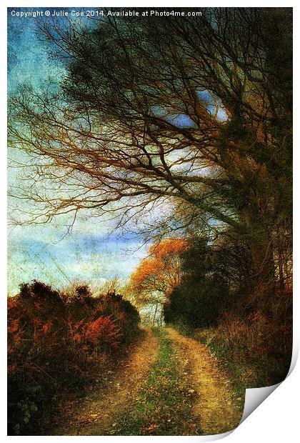 A Colourful Walk. Print by Julie Coe