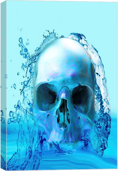Skull in Water Canvas Print by Matthew Lacey