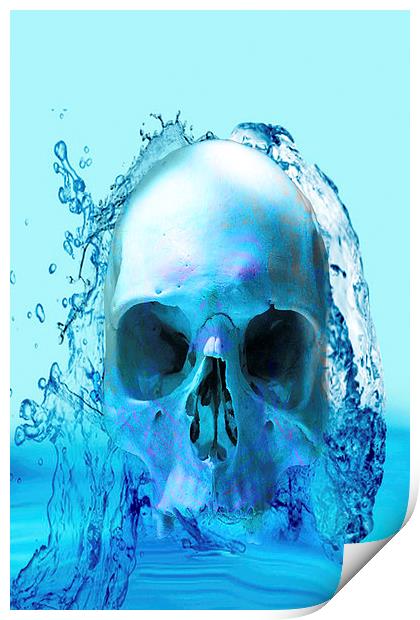 Skull in Water Print by Matthew Lacey