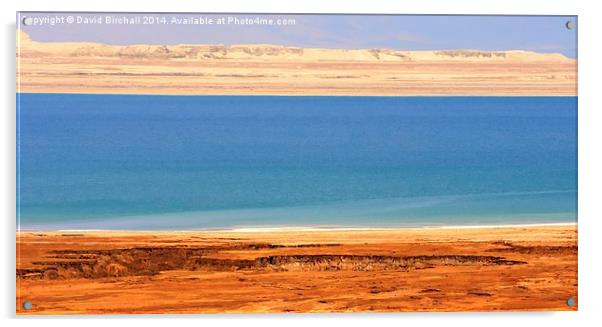 Dead Sea Shore Acrylic by David Birchall