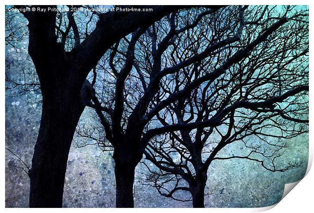 We Three Trees Print by Ray Pritchard