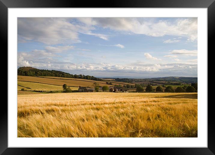 Devon Summer Framed Mounted Print by Colin Tracy