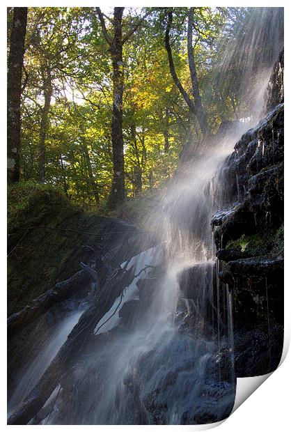Cormonachan Falls 2, Loch Goil,Scotland Print by Colin Tracy