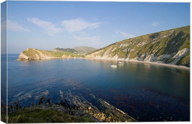 Lulworth Cove, Dorset, UK Canvas Print by Colin Tracy