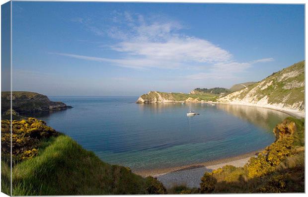 Lulworth Cove 2, Dorset, UK Canvas Print by Colin Tracy