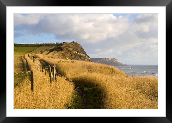 Towards St Aldheims Head, Dorset Framed Mounted Print by Colin Tracy