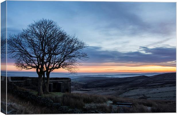 Misty Sunrise from Top Withens Canvas Print by Dan Ward