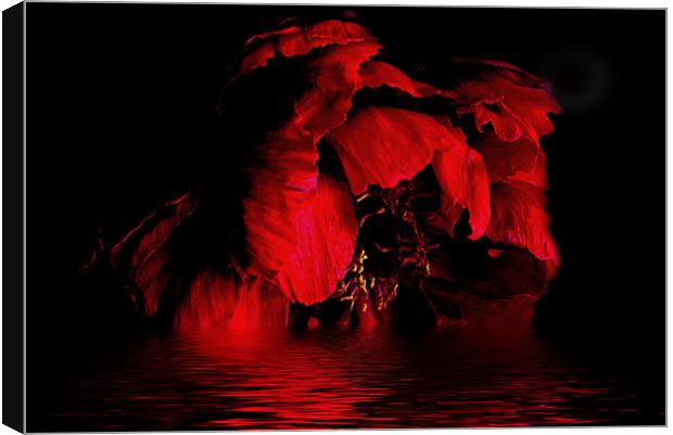 Red Peony Canvas Print by Karen Martin