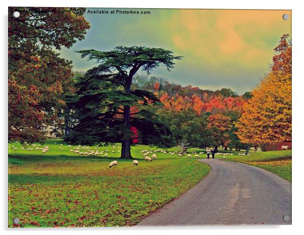 Autumn walk Acrylic by Jason Williams