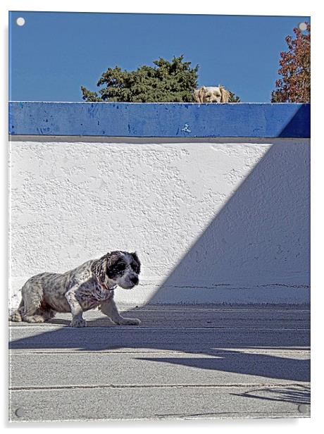 Top Dog Acrylic by Mark Ewels