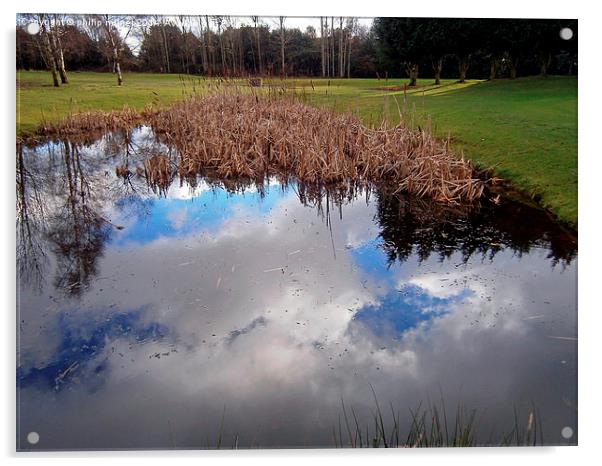 Cloud Reflections Acrylic by philip milner