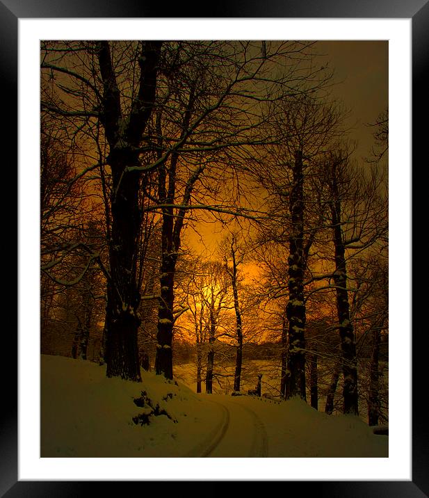 a snowy knole park Framed Mounted Print by Brett watson