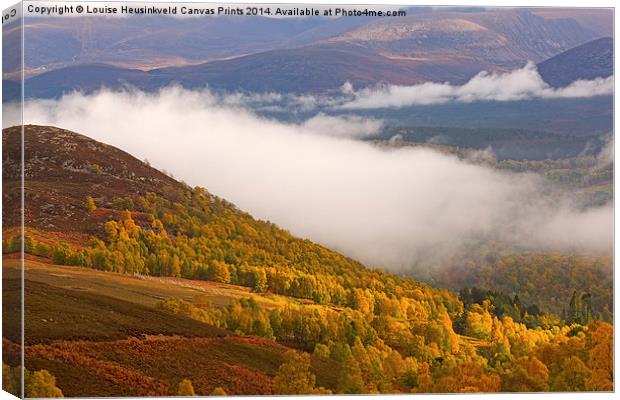 View of the Glenmore Forest and the Cairngorms Canvas Print by Louise Heusinkveld