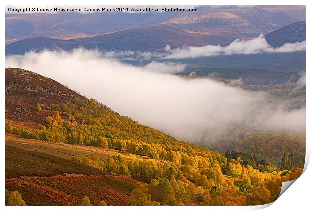 View of the Glenmore Forest and the Cairngorms Print by Louise Heusinkveld