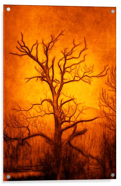 Tree Art Acrylic by Derek Beattie