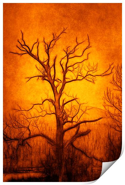 Tree Art Print by Derek Beattie