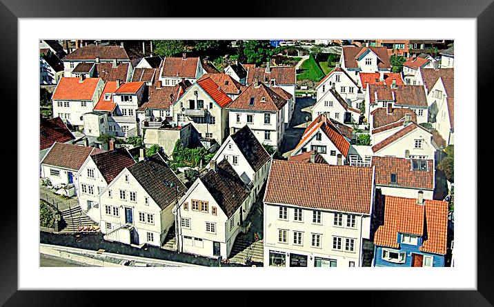 Houses on the waterfront Framed Mounted Print by Bill Lighterness